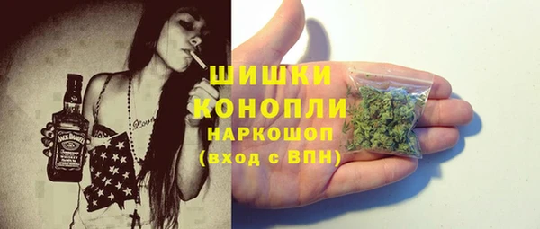 метадон Грязовец