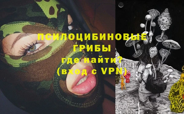 Альфа ПВП Заволжск